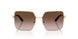300613 - Gold - Brown Gradient
