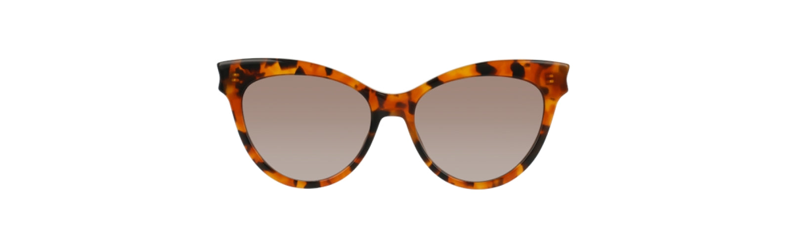 NEW Trina Turk Crete Cat eye Sunglasses Trina Turk TTPROVENCE Sunglasses main image 2