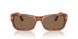 96/GI - Brown - Transitions 8 Brown