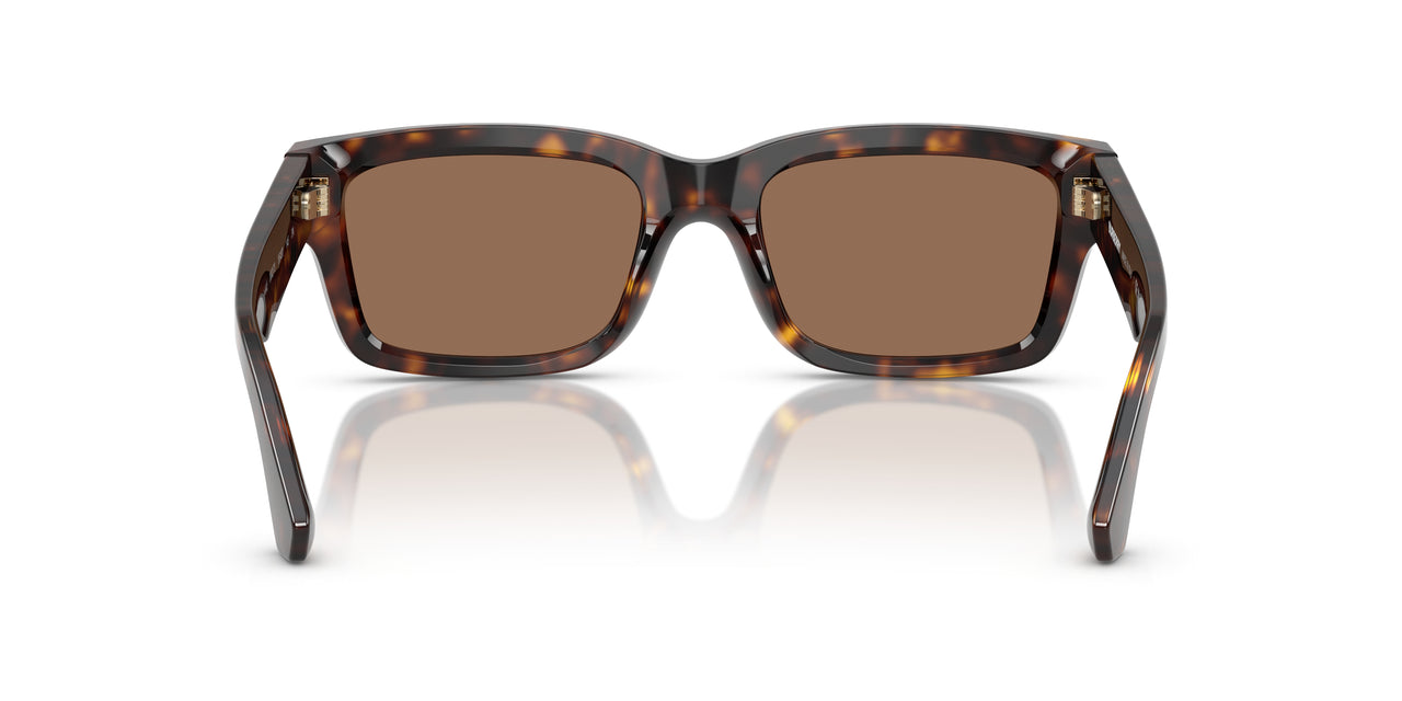 300273 - Brown - Dark Brown