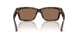 300273 - Brown - Dark Brown