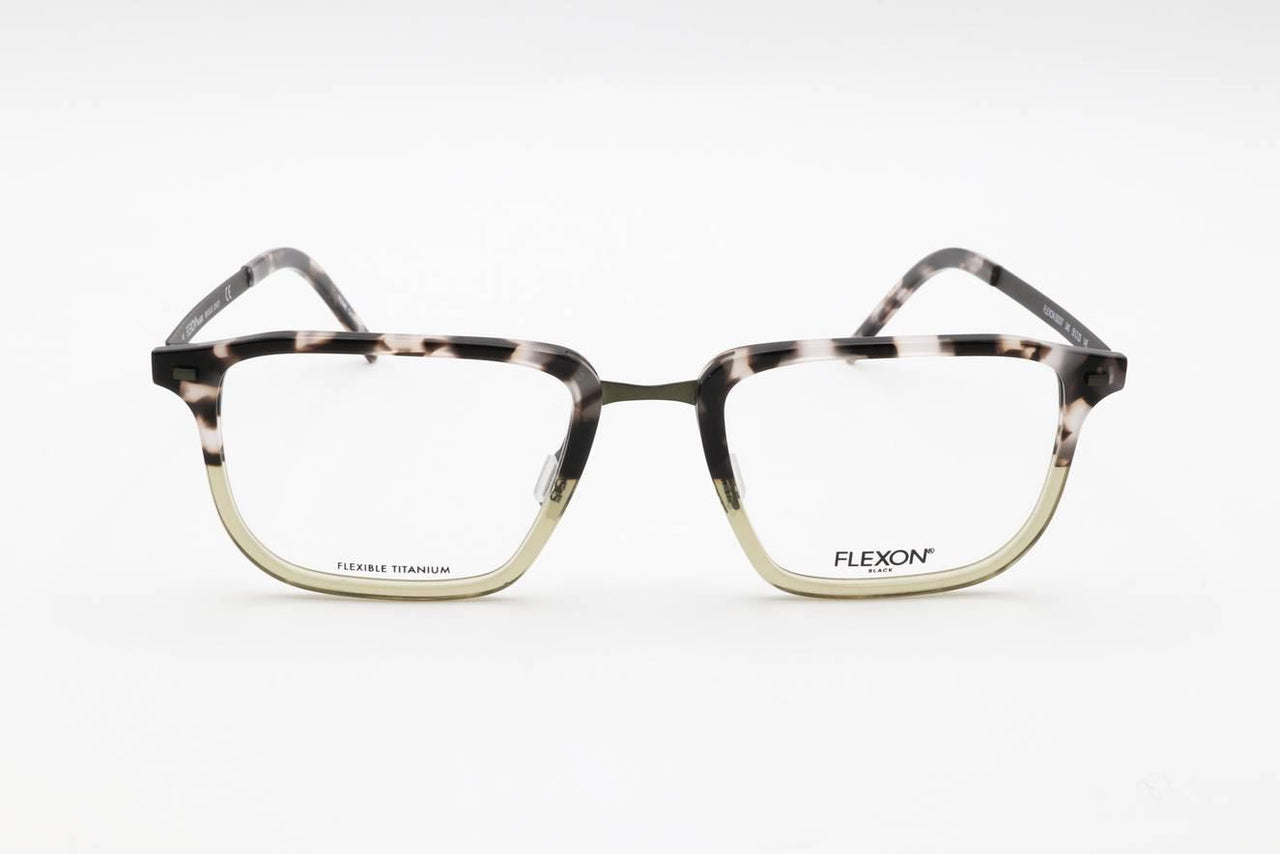 340 - SHINY OLIVE TORTOISE