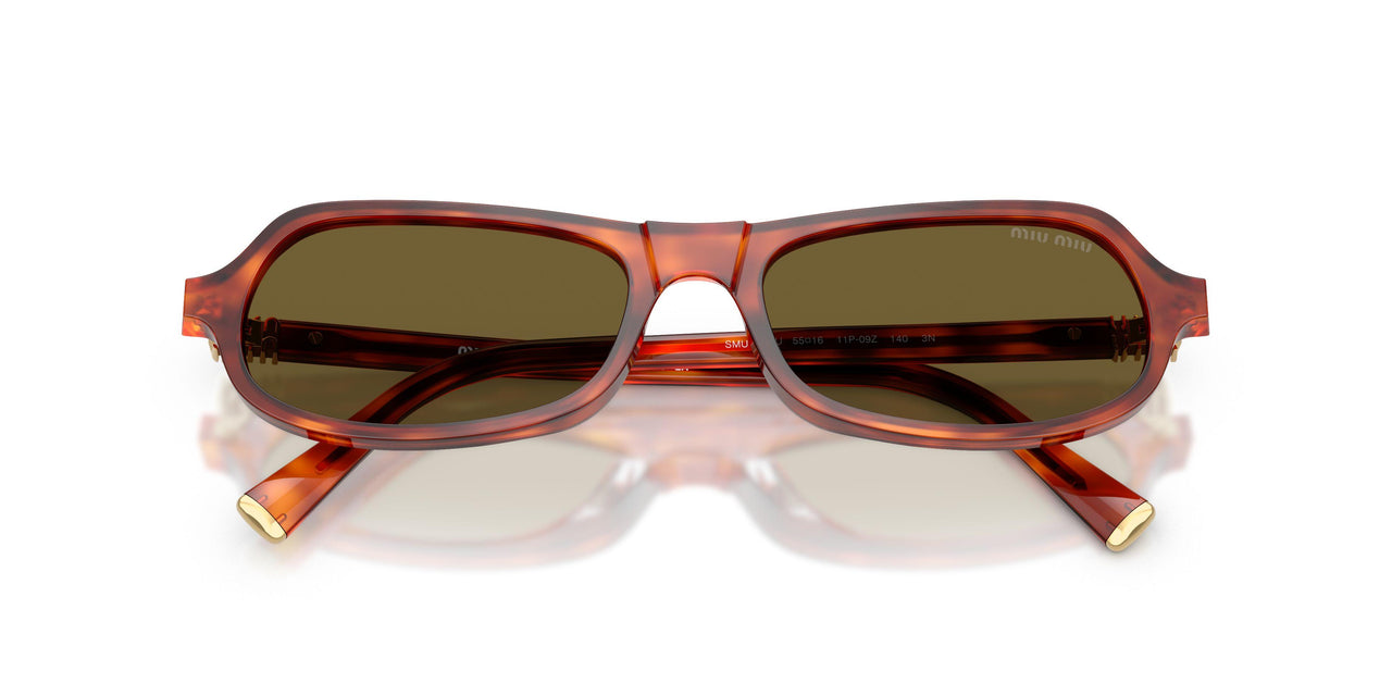 11P09Z - Brown - Dark Brown