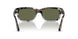 115958 - Brown - Green Polar