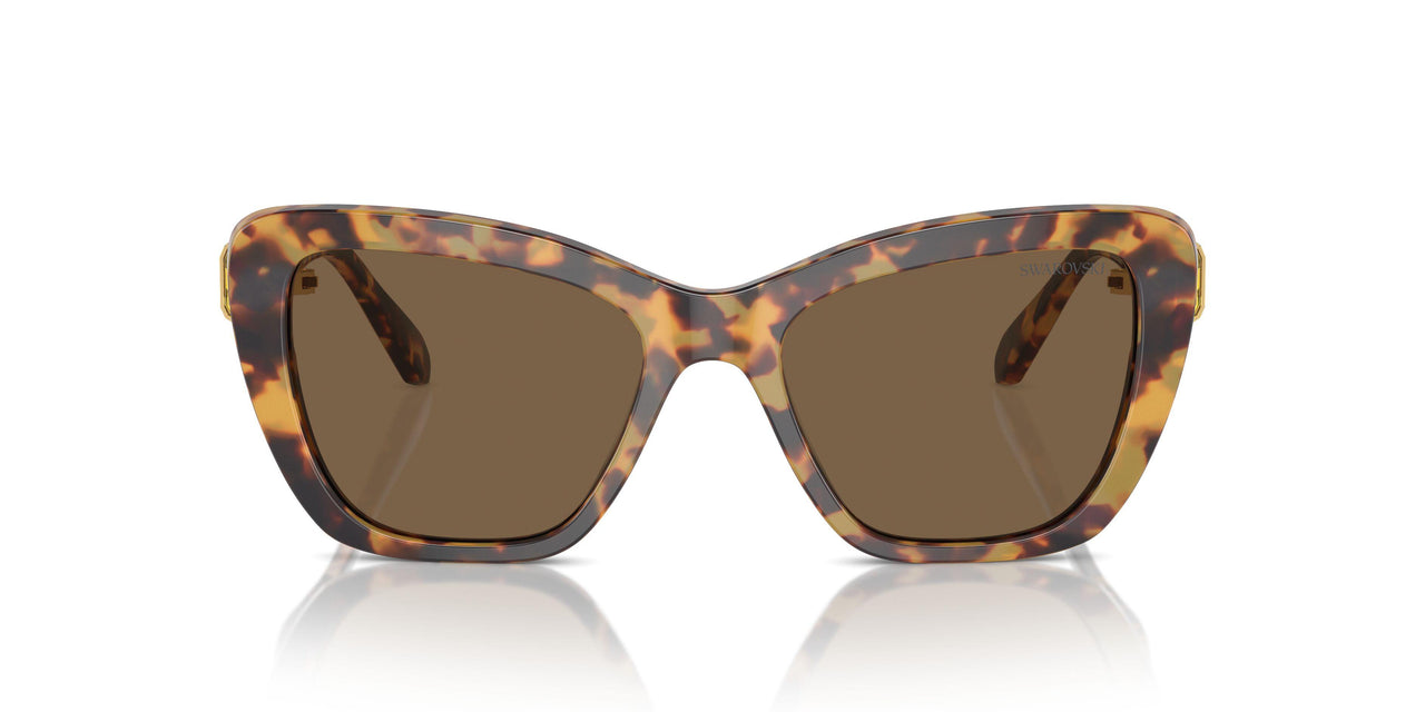 104073 - Tortoise - Dark Brown