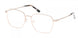 HOLLISTER 50046 Eyeglasses