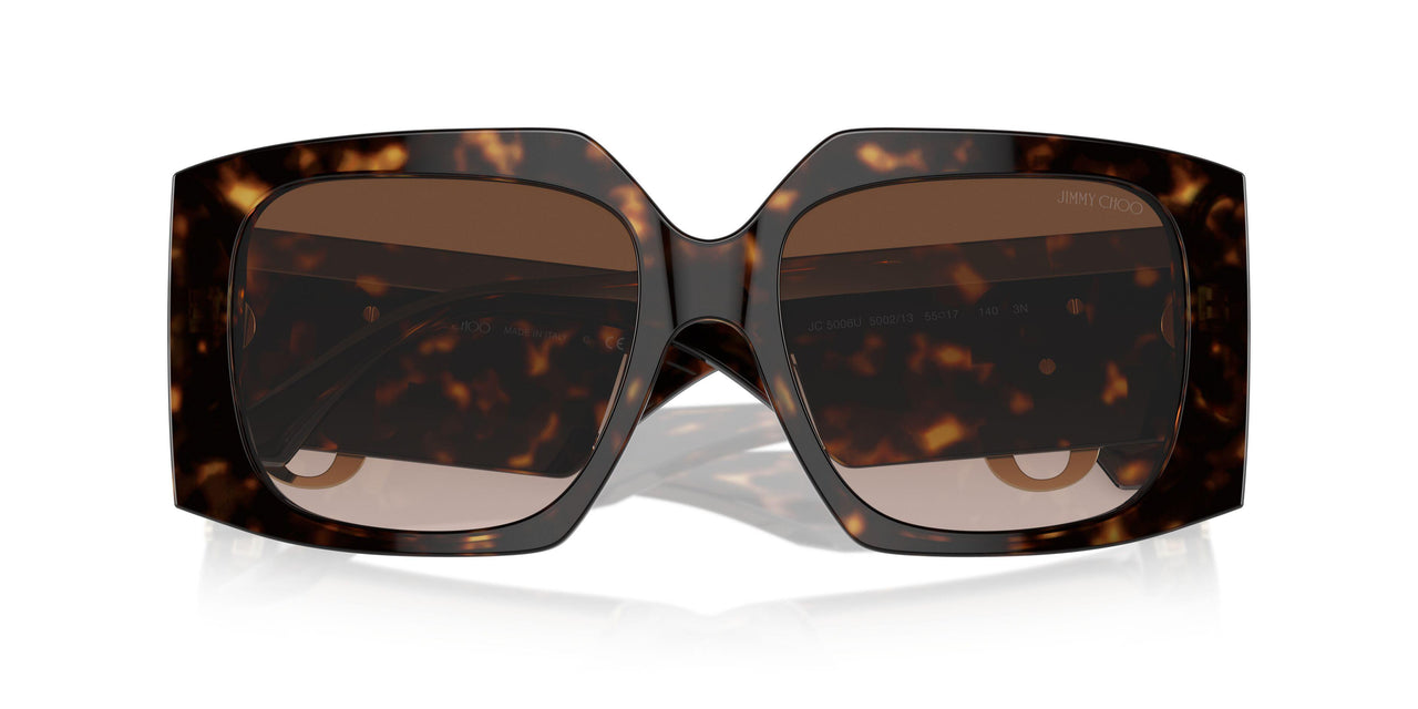 500213 - Tortoise - Gradient Brown
