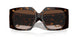500213 - Tortoise - Gradient Brown