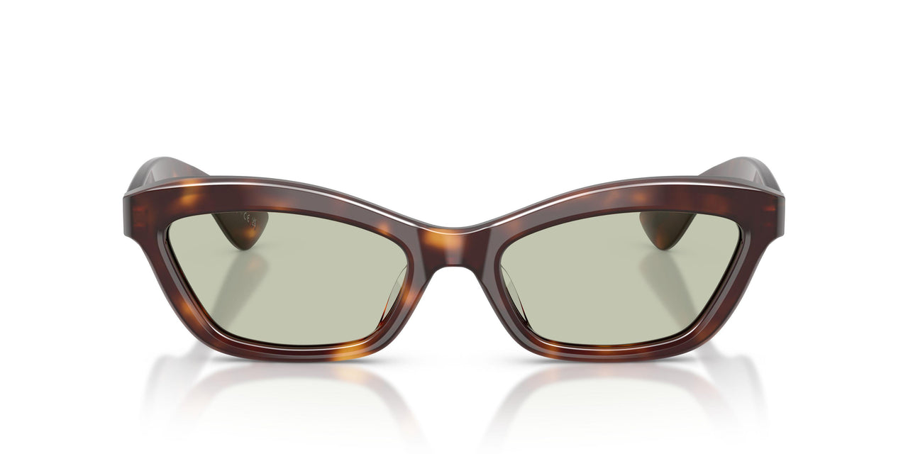 10072 - Tortoise - Green Wash