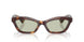 10072 - Tortoise - Green Wash