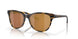 201205 - Tortoise - Gold Mirror