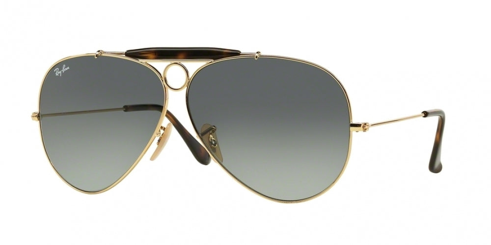 Ray-Ban Shooter 3138 Sunglasses