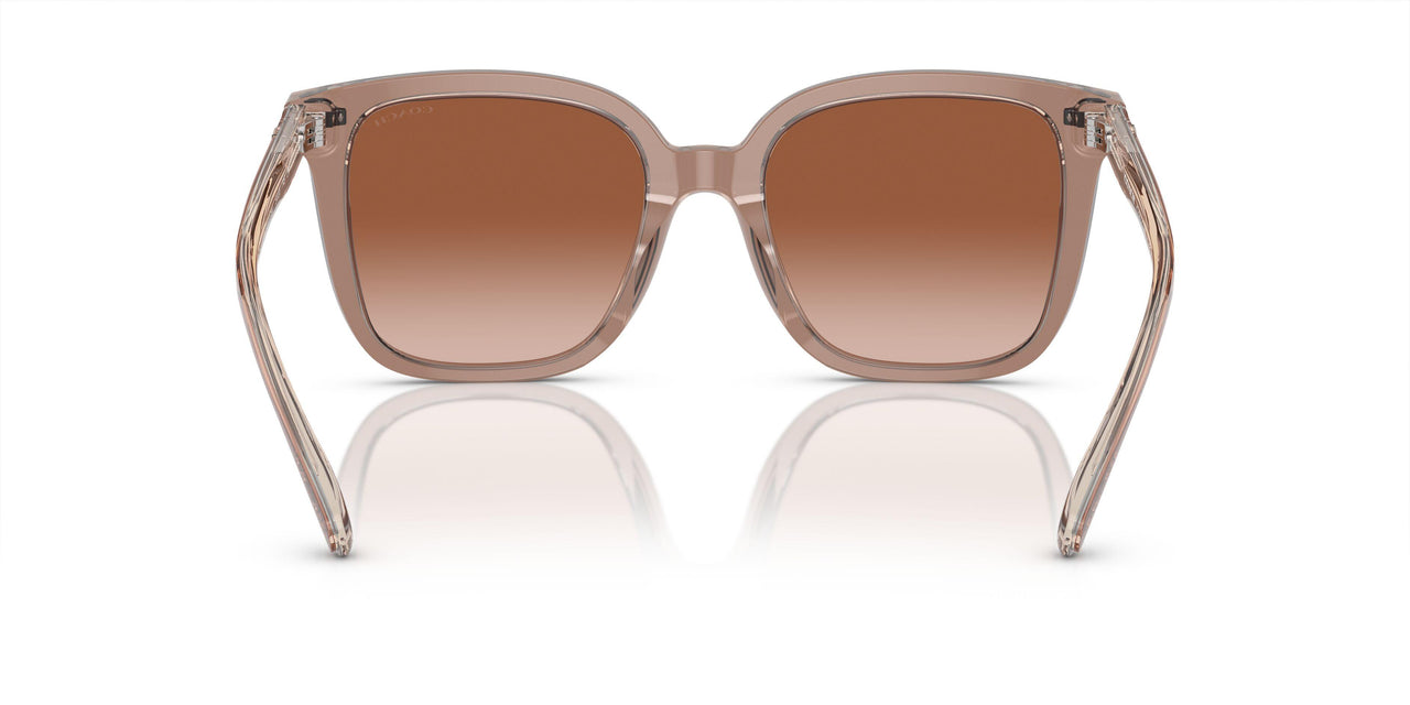 577913 - Brown - Brown Gradient