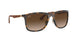 894/13 - Havana - Brown Gradient Dark Brown