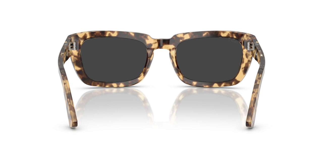 105648 - Tortoise - Polar Black