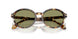 623214 - Tortoise - Green