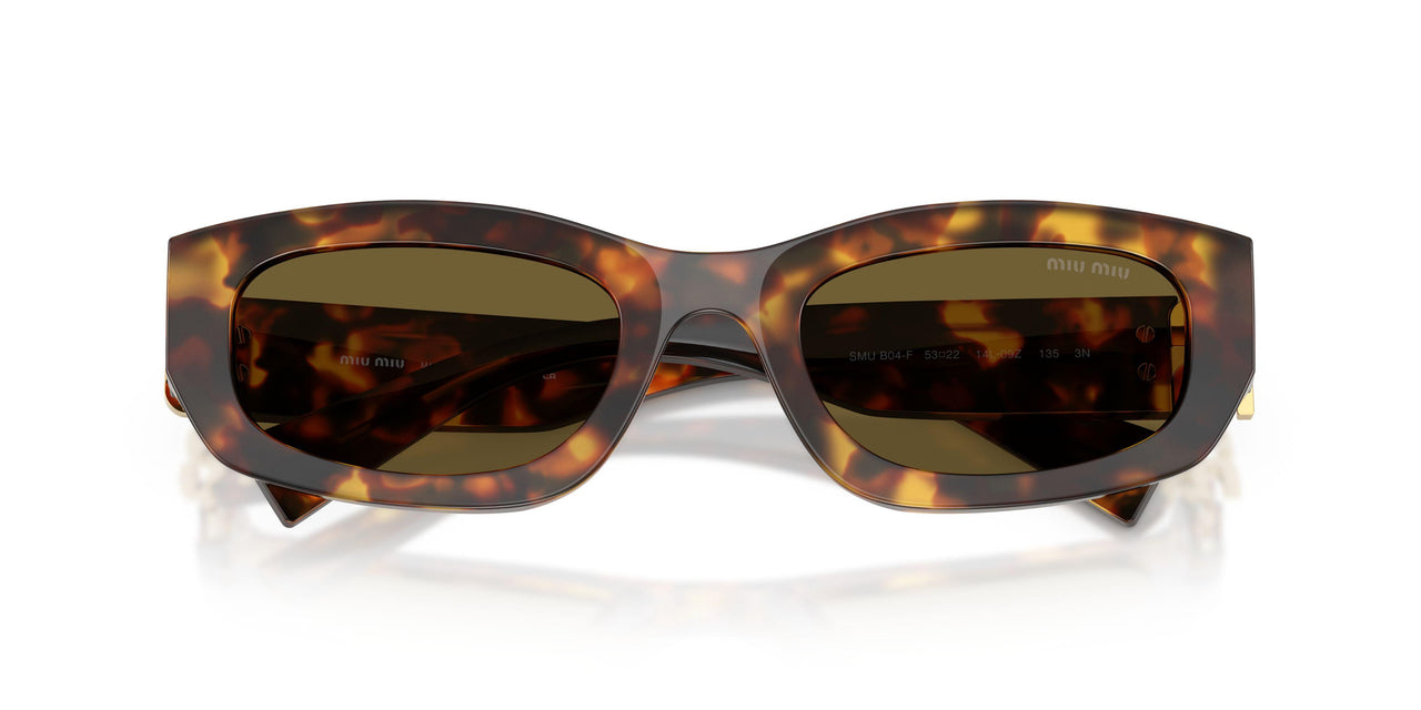 14L09Z - Tortoise - Dark Brown