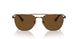 114857 - Brown - Polar Brown