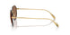 947773 - Gold - Dark Brown