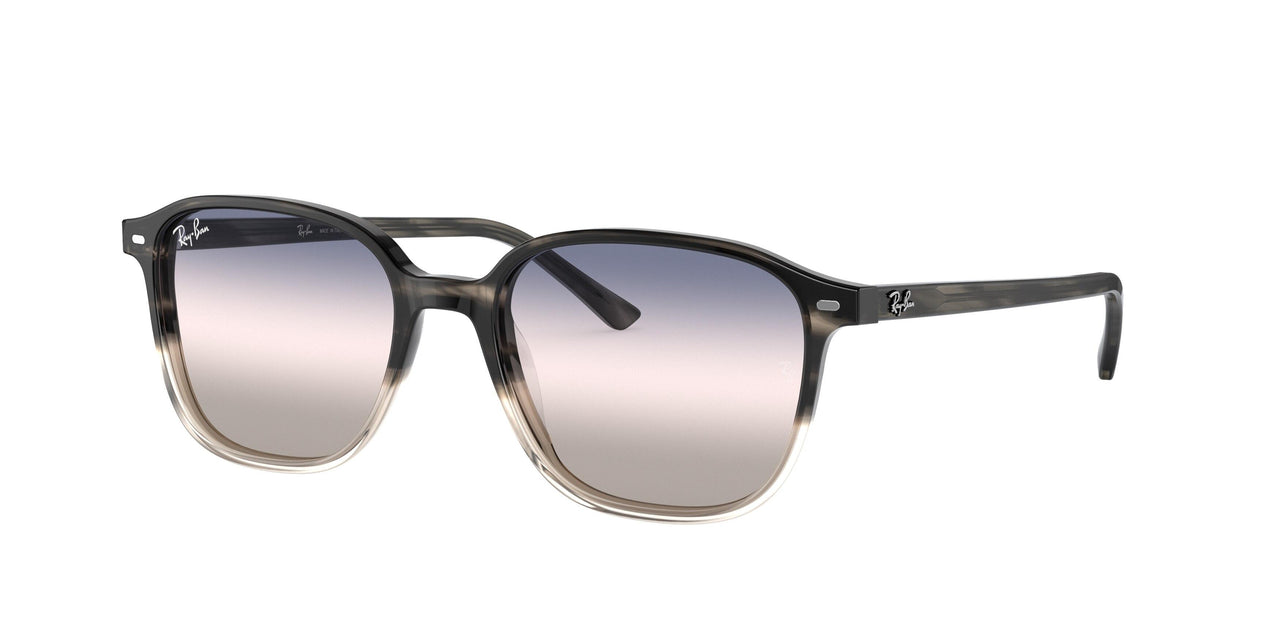 Ray-Ban Leonard 2193 Sunglasses