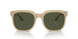 116931 - Brown - Green