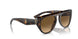 702/M2 - Tortoise - Polarized Brown Gradient