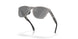 928415 - Grey - Prizm Black Polarized