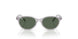 717171 - Grey - Dark Green