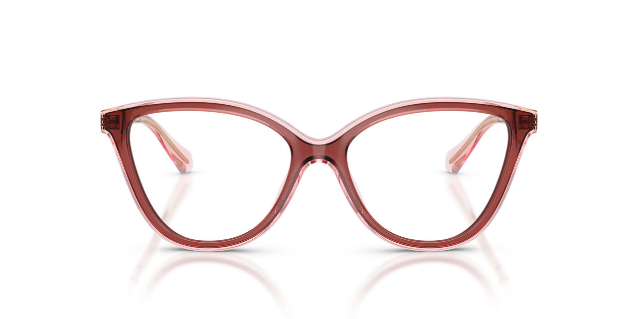 3913 - Brown