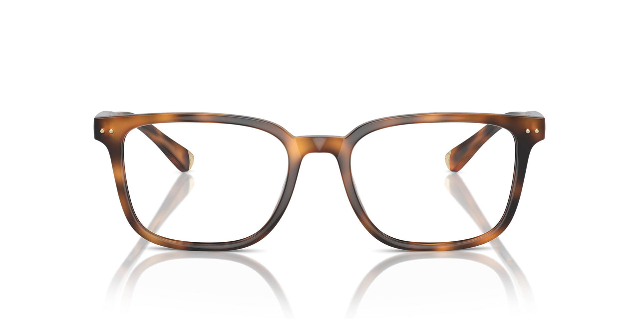 6161 - Tortoise
