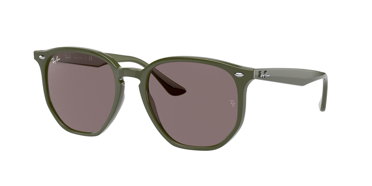Ray-Ban 4306 Sunglasses