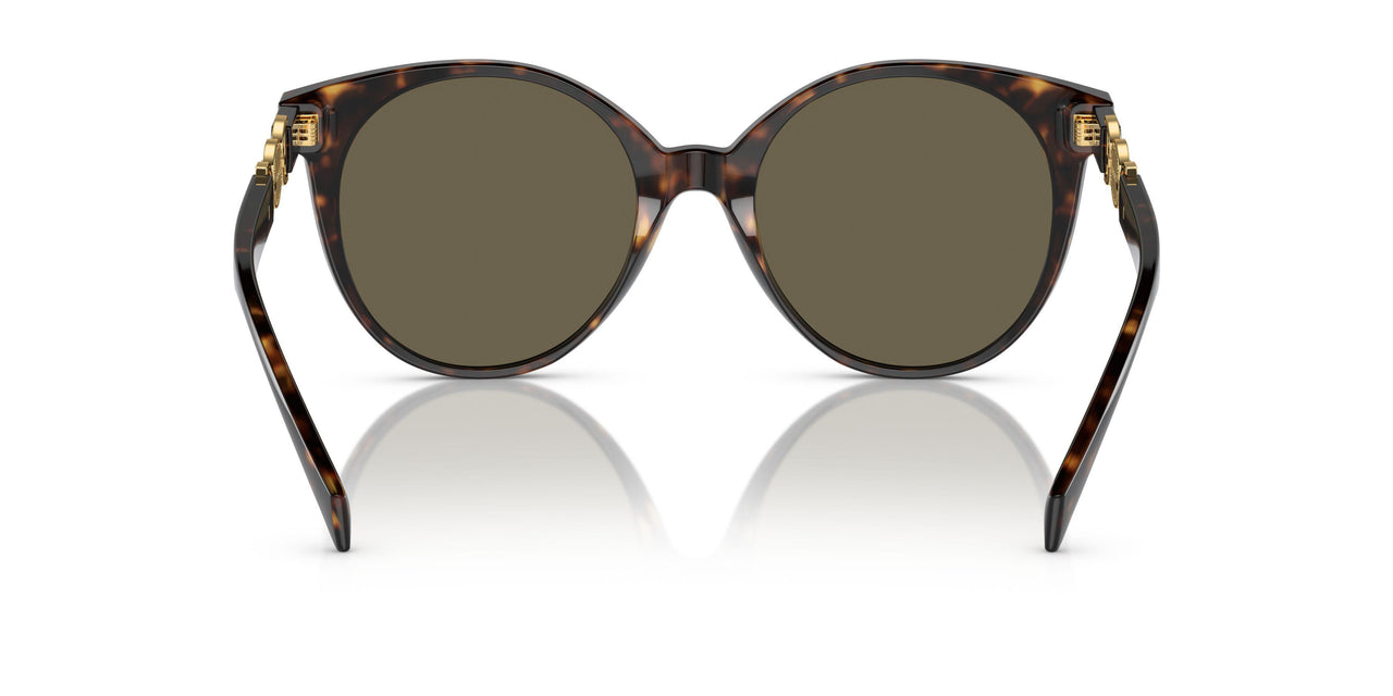 108/3 - Tortoise - Brown