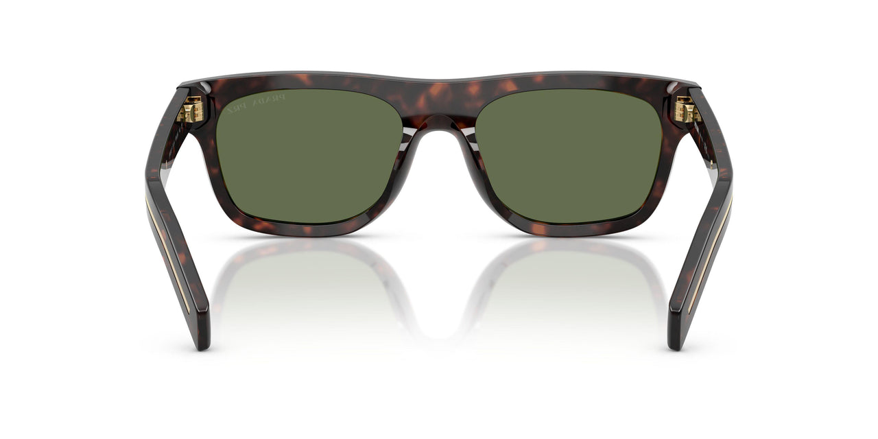17N20G - Tortoise - Polar Green