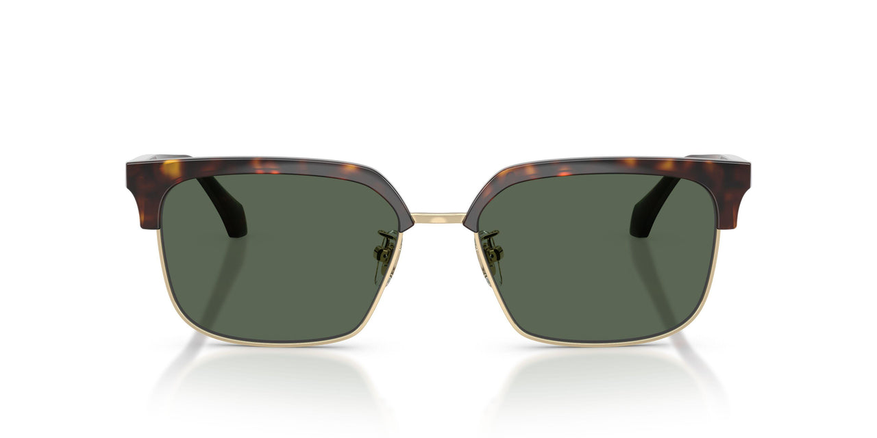 108/71 - Brown - Dark Green
