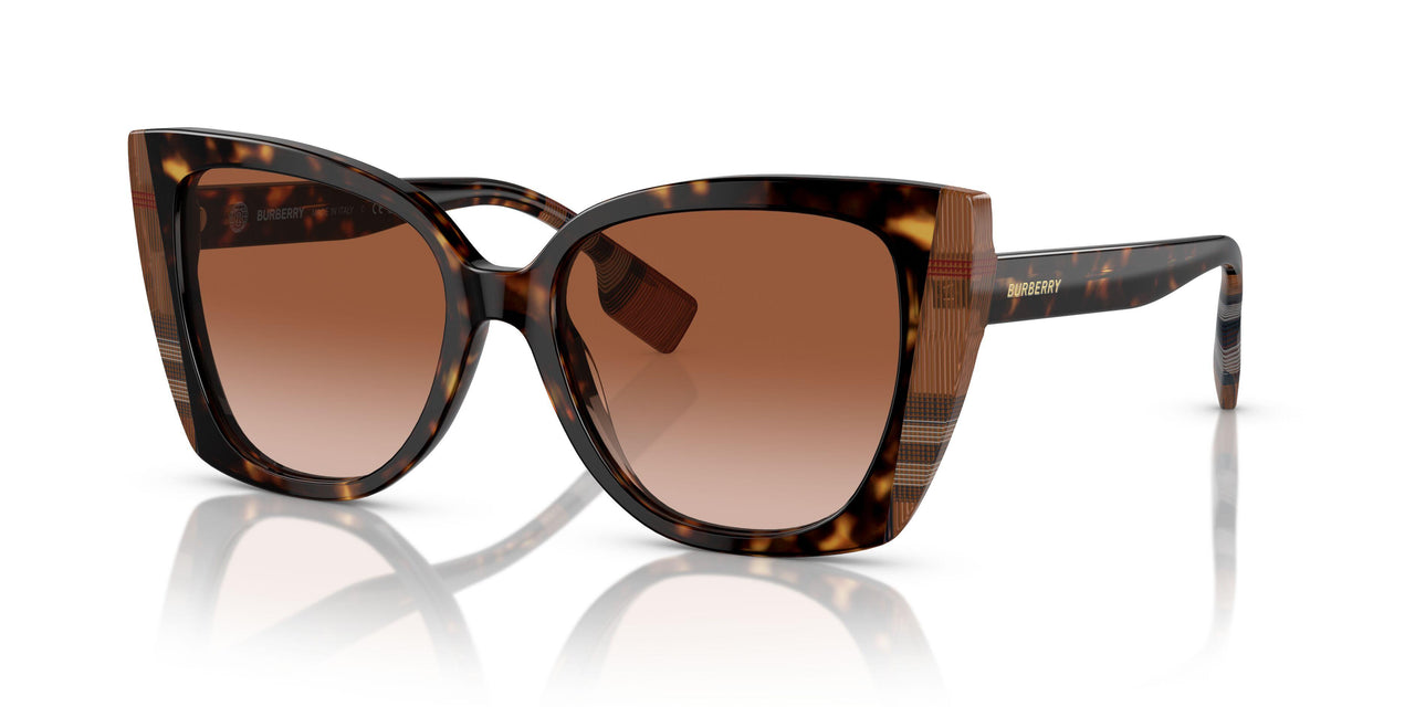 405313 - Brown - Brown Gradient