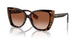 405313 - Brown - Brown Gradient