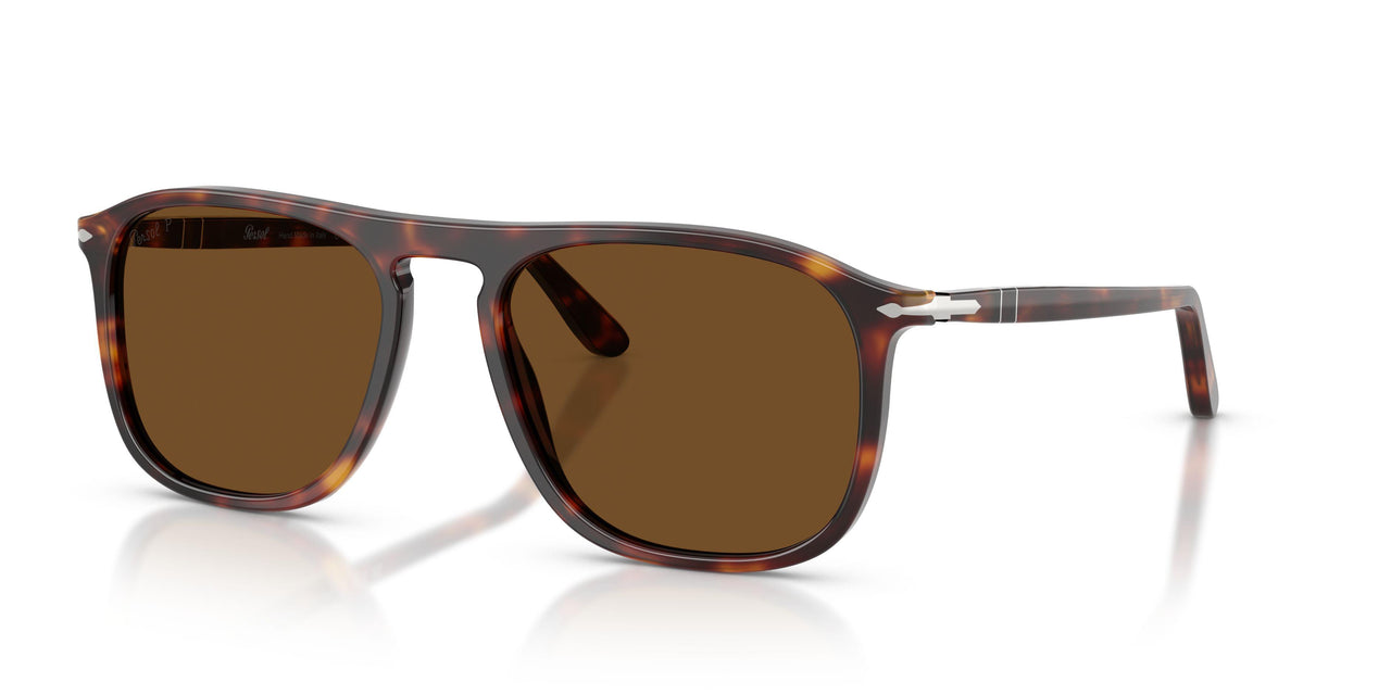 24/57 - Tortoise - Polar Brown