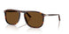 24/57 - Tortoise - Polar Brown