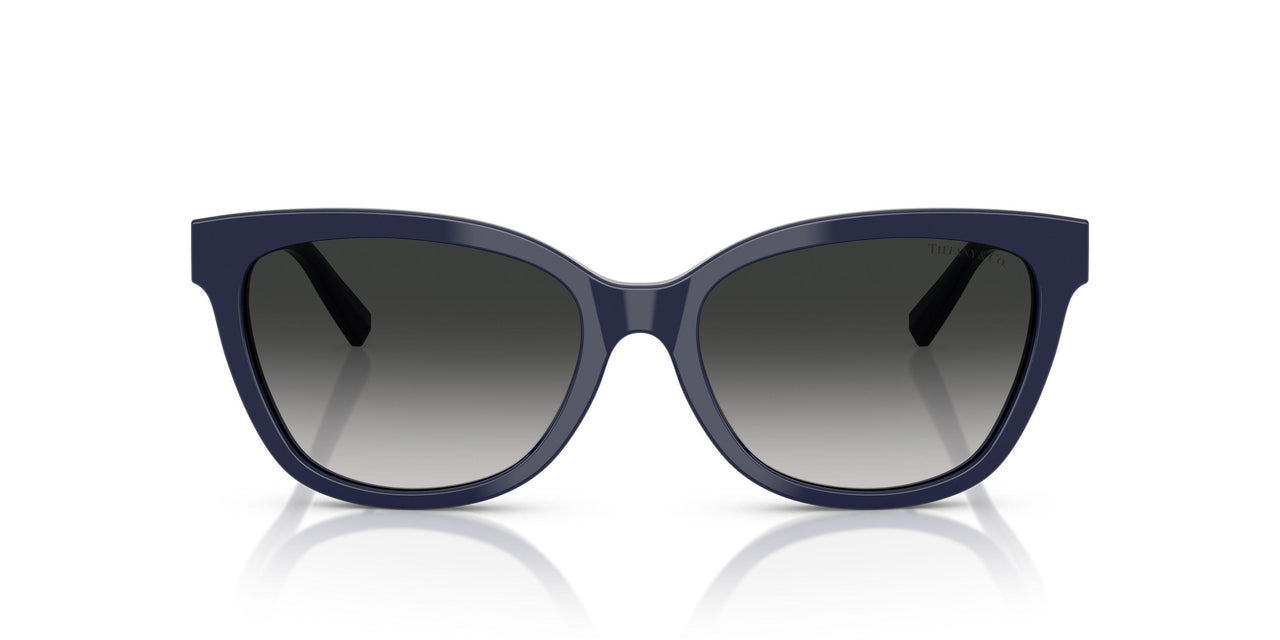 83963C - Blue - Grey Gradient