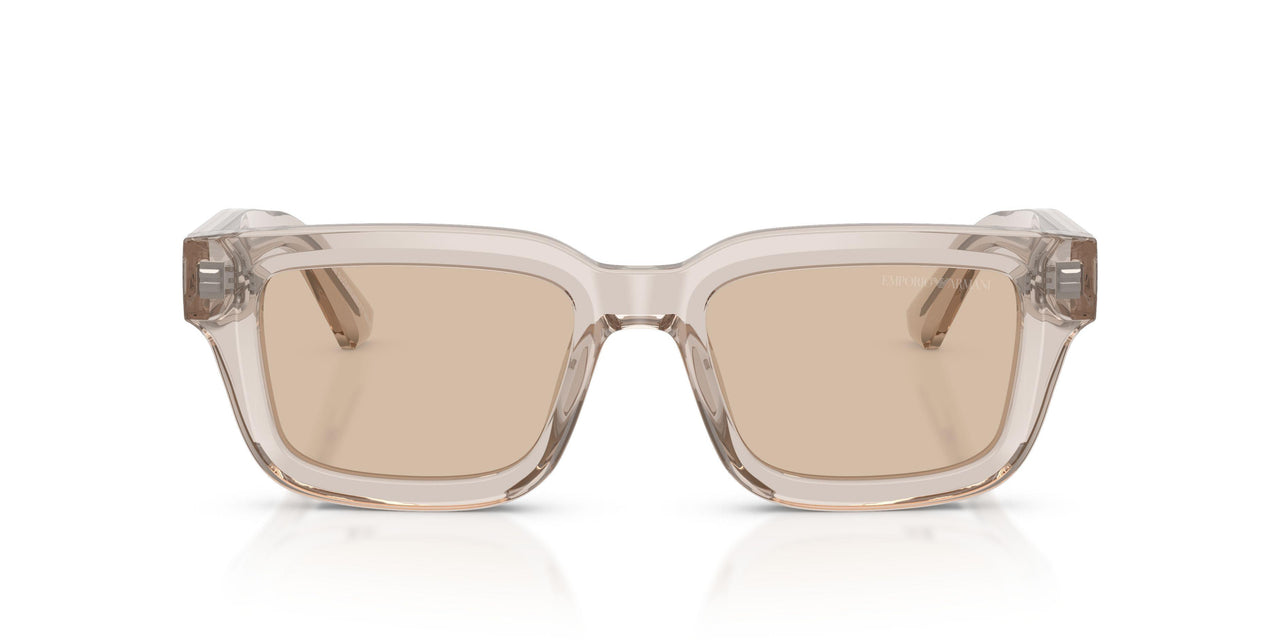 636393 - Brown - Light Brown