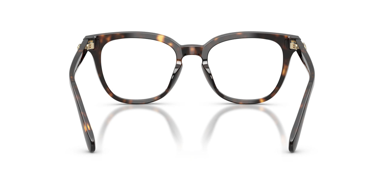 5120 - Tortoise