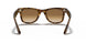 710/51 - Havana - Brown Gradient