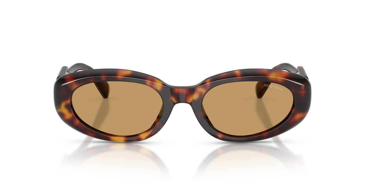 27L10Y - Tortoise - Brown