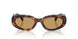 27L10Y - Tortoise - Brown