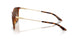 821313 - Tortoise - Brown Gradient