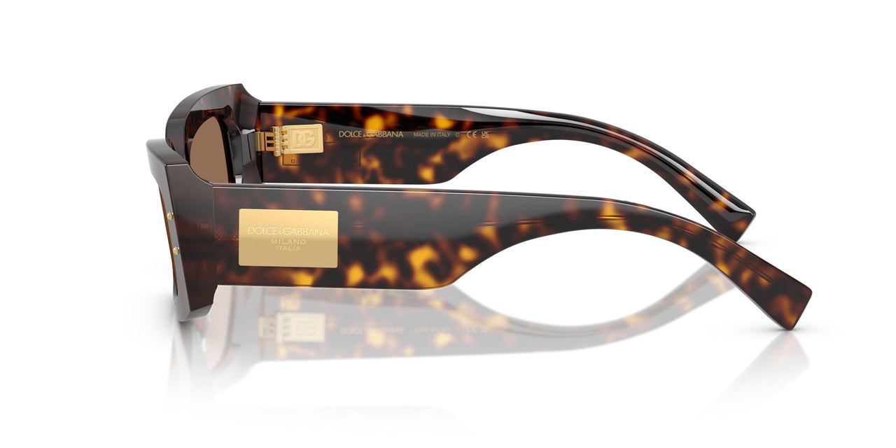502/73 - Tortoise - Dark Brown