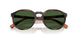 597471 - Tortoise - Bottle Green