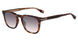 Police SPLR74 Sunglasses