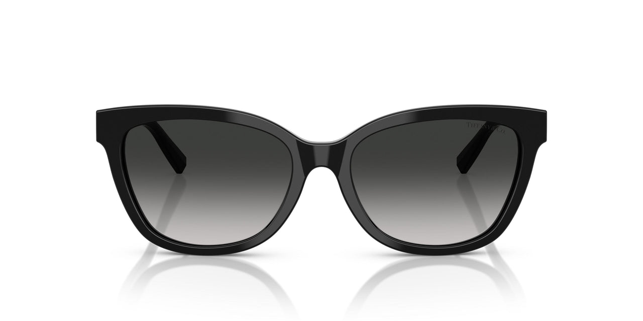 80013C - Black - Grey Gradient