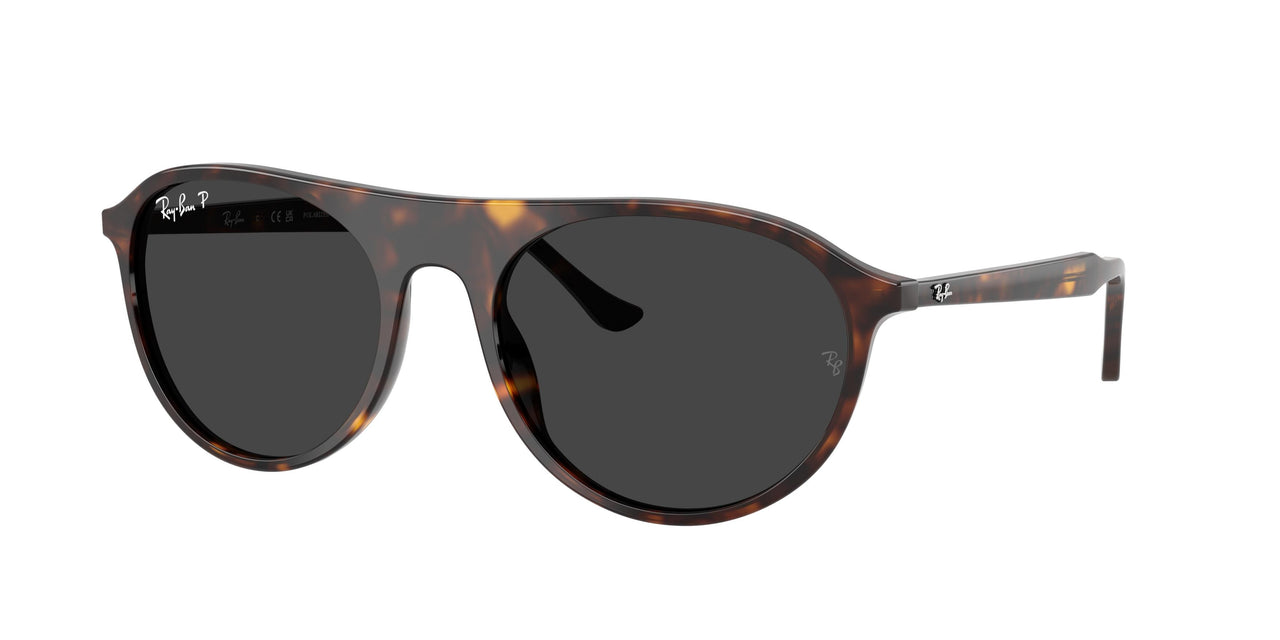 902/48 - Tortoise - Polar Black
